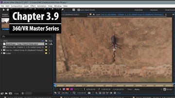 Chapter 3.9: Removing a 360 Camera Rig from 360 Footage in After Effects | 360/VR Master Series