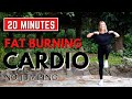 🔥20 Min FAT BURNING CARDIO for WEIGHT LOSS🔥KNEE FRIENDLY🔥NO SQUATS/LUNGES🔥NO JUMPING🔥NO REPEATS🔥