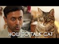 How to talk to your cat  learn cat 101