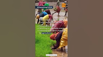 What is Global Stocktake? Explaining Global Stocktake! #UnpackingCOP29 #climateaction #climatechange