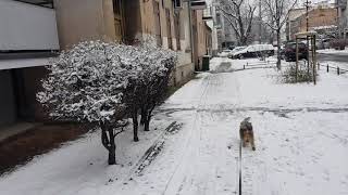 Zima 13.01.2021 Miki Fiki