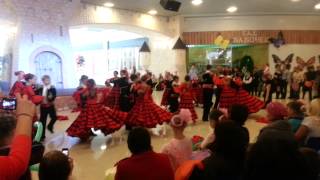 20131104_141317.mp4