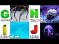 ABC Song | Sea Animals ABC Song | Phonics for Kids, Learn ABC, Baby Alphabet Letters