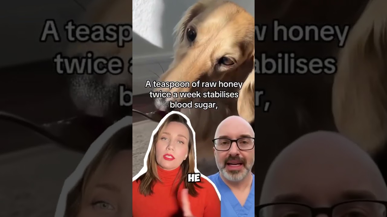 Корм для собаки с телятиной с чистым составом🥩брала на wb⤵️