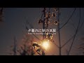夕暮れに秋の気配 環境音 #ambientsounds #asmr #睡眠