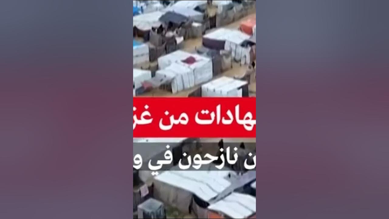   ..    
 - نشر قبل 4 ساعة