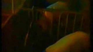 Animal Liberation Front 2- The Sequel