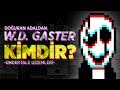 Deltarune Evrenini Kuran Kişi W.D. GASTER Kimdir?