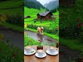 #nature #lifeisbutadream #scenery #beautiful #naturelovers #music #rainsounds #flowers #doglife
