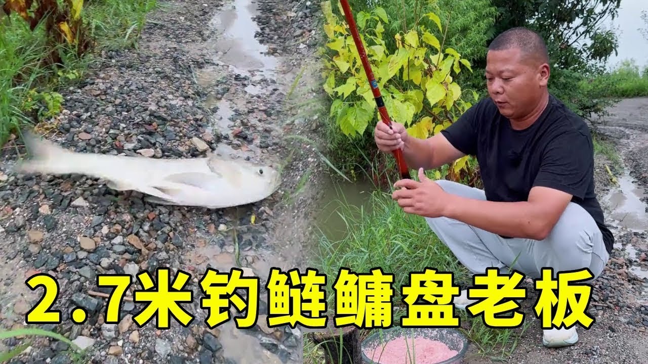 黑坑水库盘嚣张老板，极限一小时上百斤大鱼！老板当场黑脸！【鲫鱼大叔】#钓鱼人 #钓鱼 #fishing