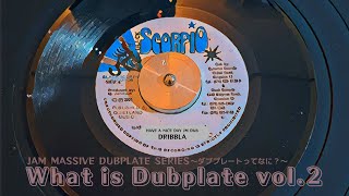 What is Dubplate vol.2 ダブプレートって何？ DRIBBLA / HAVE A NICE