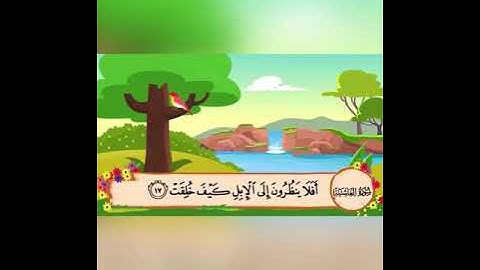 سورة الغاشيه من ١٦ الى ٢٠