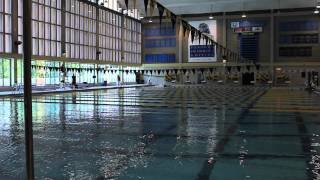 The Pitt Vlog: P-I-T-T LET'S GO PITT!
