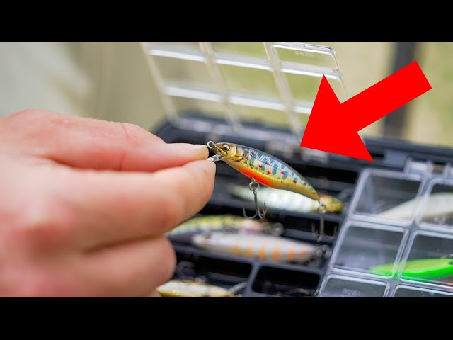 Trout LOVE These JAPANESE Baits But Nobody Knows About Them!!! Trout Gear  Breakdown!! 