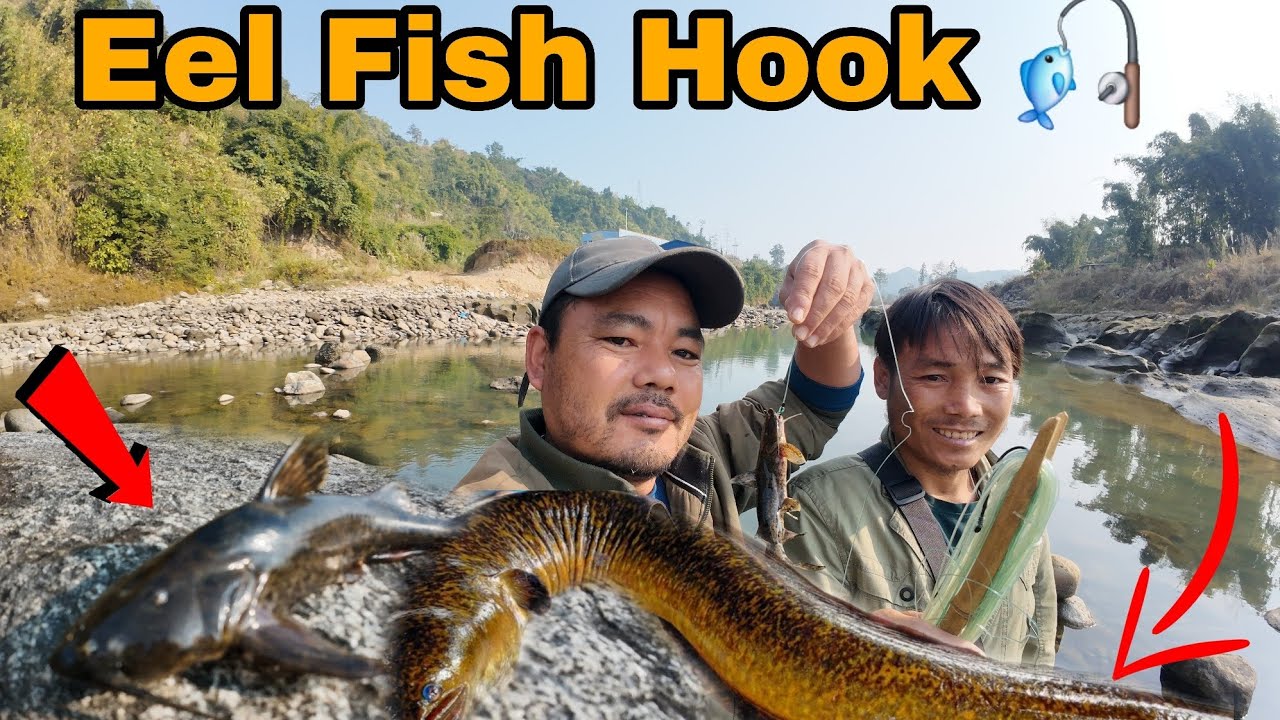 Eel  Fish Fishing Hook Gone 🎣 Wrong||Arunachal Pradesh Fishing video 
