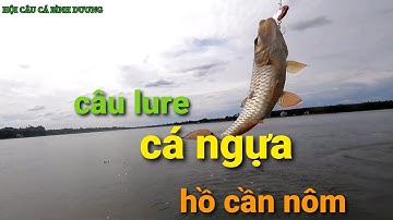 câu lure cá hồ thiên nhiên bình dương. HỘI CÂU CÁ BÌNH DƯƠNG hồ cần nôm