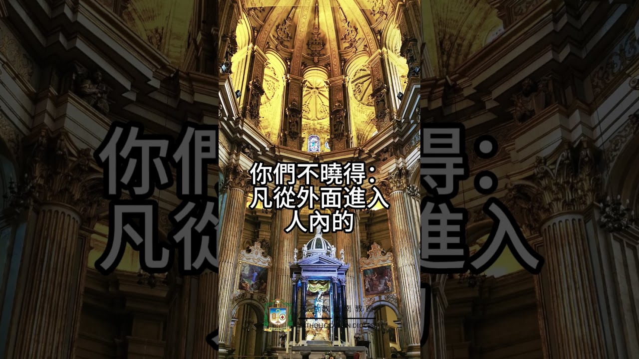 02/11   恭讀聖馬爾谷福音　7:14-23   從人裏面出來的，才污穢人。