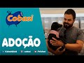 Adoção de cães e gatos