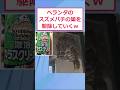 ベランダのスズメバチの巣を駆除していくぞw【2ch面白いスレ】