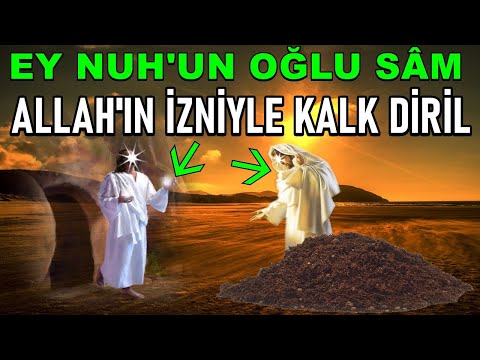 HZ. İSA, HZ NUH'UN OĞLU SÂM'I DİRİLTME MUCİZESİ! SÂM KALKTI ve İSA'NIN PEYGAMBERLİĞİNİ TASDİKLEDİ.