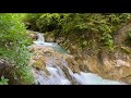 طوني حنا أغنية يسعد صباحك مع أجمل المناظر الطبيعية اكسبلور رحلات  صباح الخير فيروزيات صباح