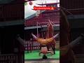 kung fu fighting movie kung fu #realgrow #1000subscriber #mrbeast #bikini #shorts #heeriye #viral