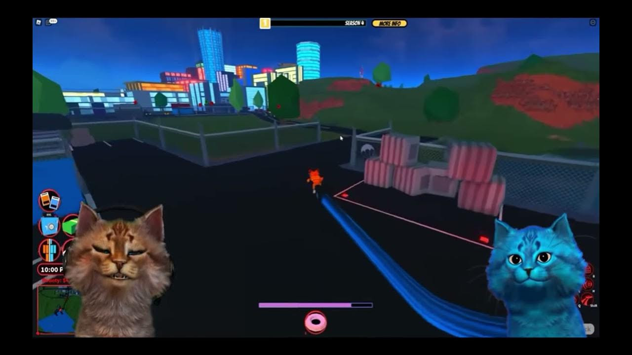 Включи видео игру кота