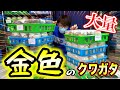 黄金に輝くクワガタの幼虫が大量に入ったボトルをひっくり返した結果…