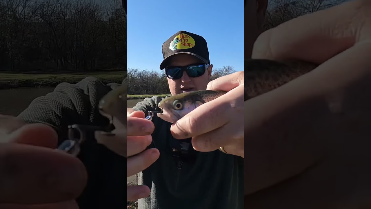 This is the easiest way to catch rainbow trout! Stock up on this lure  before you next trip! #trout 