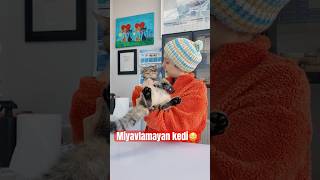 Miyavlamayan Kedi Yapmışlar😅😅