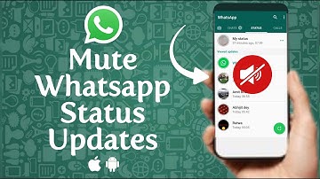 How to Mute and Unmute Someone WhatsApp Status Updates