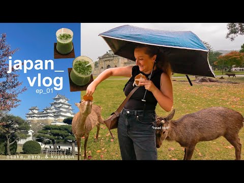 japan travel vlog 🍵 | eating, exploring osaka, nara deer park, and sleeping in a temple ⛩️