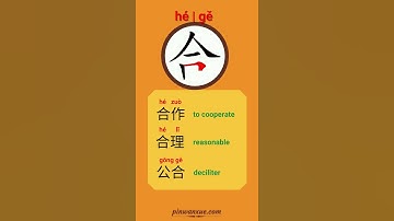 【合】Traditional Mandarin | Where does it come from | quick draw tutorial