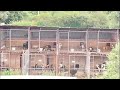 Срочно НЕОБХОДИМА ПОМОЩЬ Срочно НЕОБХОДИМА ПОМОЩЬ