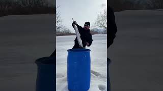 making big ice careem with orange's & pineapple in mountains 🤤