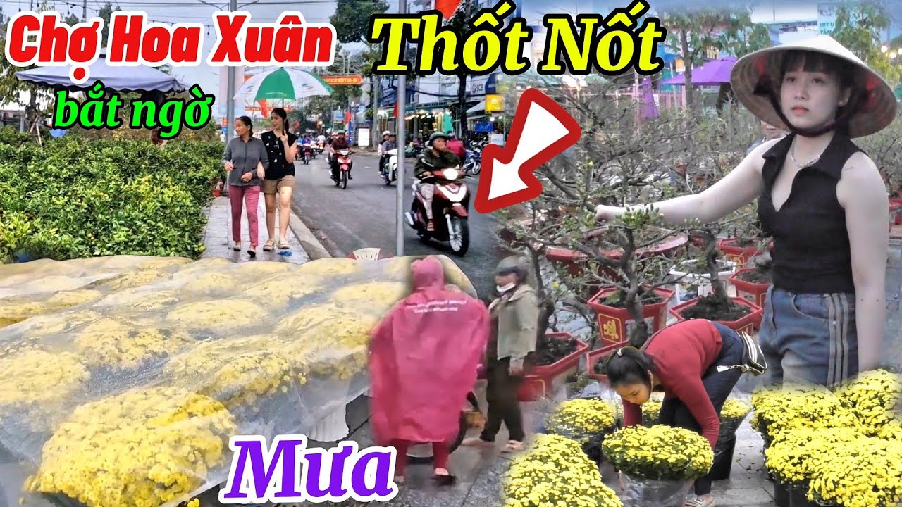 Chợ Hoa Tết Thốt Nốt 2026  bắt ngờ MƯA bà con mua bán nhiều loại hoa kiểng mẫu mới lạ rất đẹp mắt