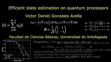 Efficient state estimation on quantum processors