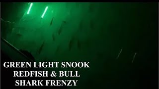 GREEN LIGHT CAUSES SNOOK & REDFISH FRENZY** BULL SHARKS ATTACK SNOOKS!!**WE CATCH THEM ALL!! GREEN LIGHT CAUSES SNOOK & REDFISH FRENZY** BULL SHARKS ATTACK SNOOKS!!**WE CATCH THEM ALL!!