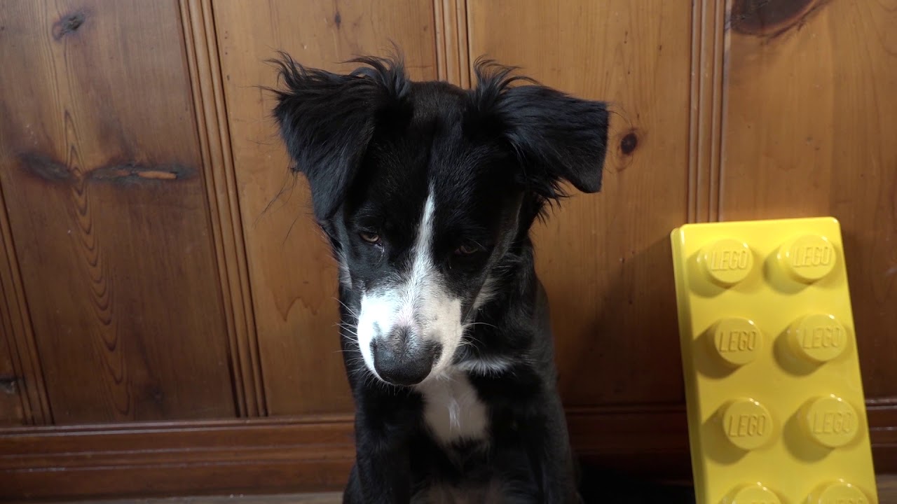 Art with Narfi: LEGOS!