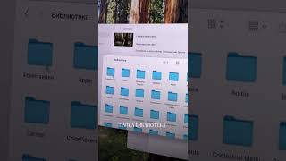 Инструкция как установить любое видео на заставку вашего #macbook #apple #лайфхаки #сервис #лайфхак screenshot 4