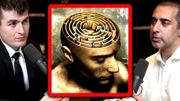 Humans are rats trapped in a maze | Balaji Srinivasan and Lex Fridman