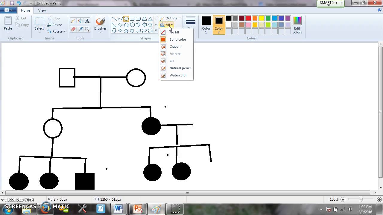 worksheet Pedigree Worksheet Interpreting A Human Pedigree interpreting information in a pedigree youtube pedigree