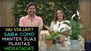 Vai Viajar? Como Cuidar Das Plantas