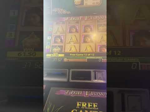 Experience the Magic of White Lotus: A Top English Online Casino in South Africa