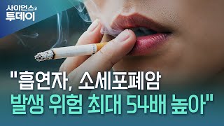 건강보험공단 &quot;흡연자, 소세포폐암 발생 위험 최대 54배 높아&quot; / YTN 사이언스