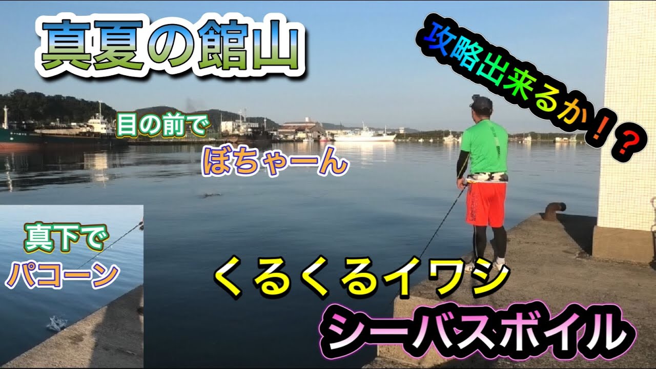 真夏の館山 くるくりイワシにボイル祭り シーバスボイル編 Youtube 真夏の館山 くるくりイワシにボイル祭り シーバスボイル編 Youtube