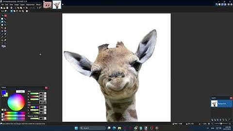 How To Make Transparent Background In Paint.NET [2025 Guide]