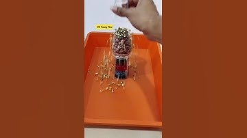 Reverse Video. Wooden & Gold Beads, Colourful Pearls. #shorts #drop #pearls #satisfying #satisfying