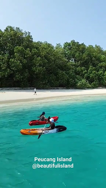 Peucang Island Ujungkulon - Pulau Peucang #explore #travel #adventure