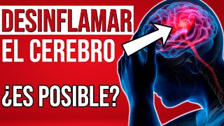 💥 Neuroinflamación [Prevención y el Tratamiento a través de la NUTRICIÓN] 🍋🍒 - Marta Alonso